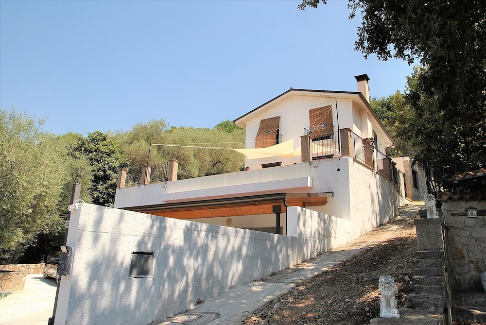 Photo 19
