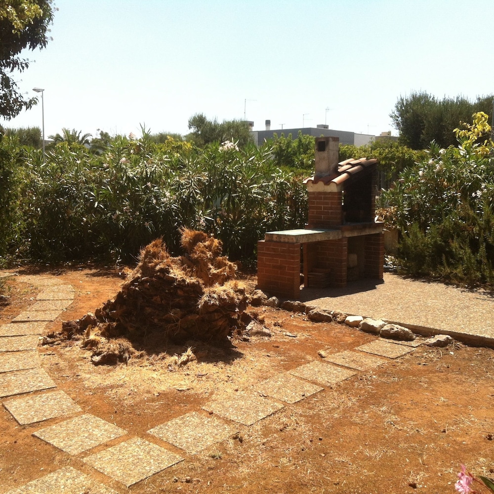 Photo 11