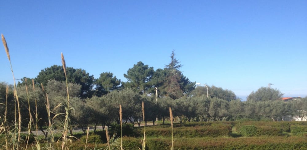Feudo di Villa Anticaglia
