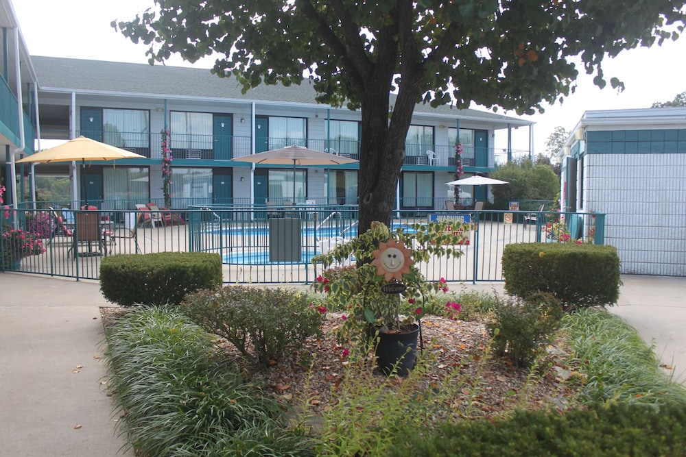 Photo 45