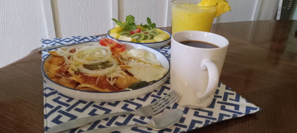 Your Hidden Garden Bed and Breakfast