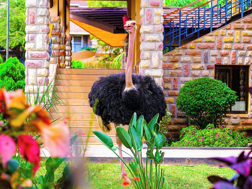 Lake Bogoria Spa Resort