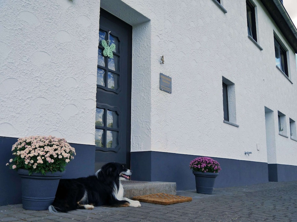 Holiday Home Eifelhome in Germany view 2