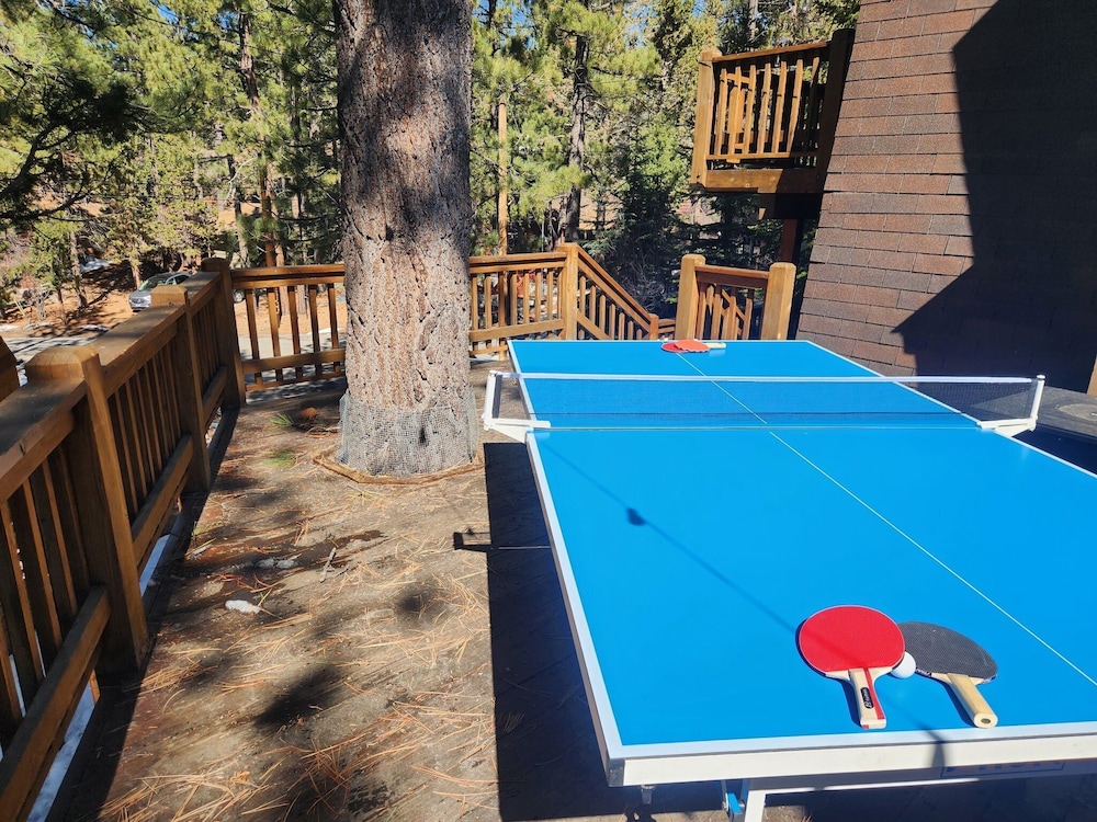 Big Cub Cabin #2521