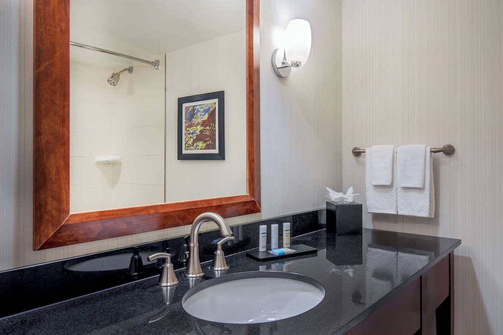 Boston Vacations - Embassy Suites by Hilton Boston Waltham - Property Image 9