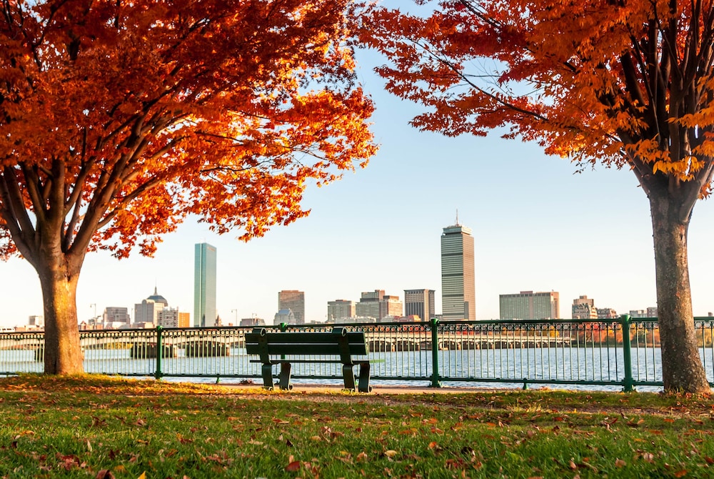 Boston Vacations - Remarkable One Bedroom Suite - Property Image 16