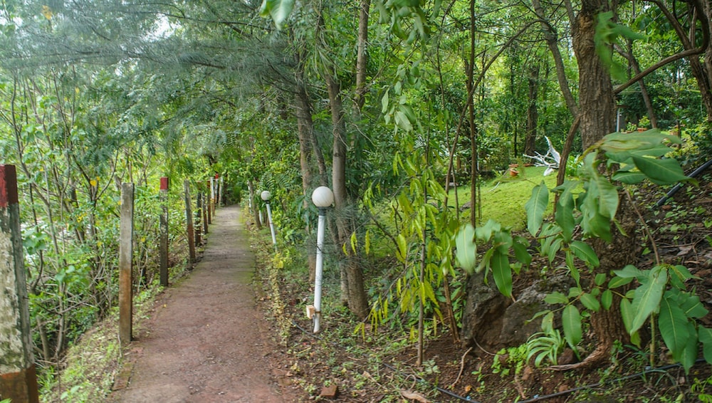 Nature Trails Dabhosa, Jawhar