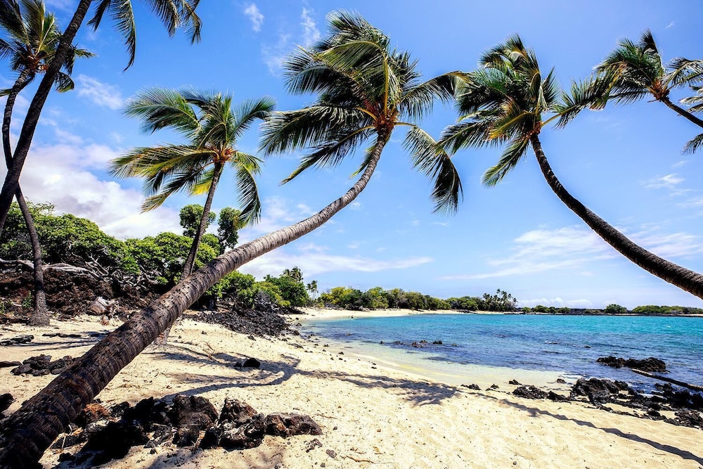 Kona Pacific A102 view 5