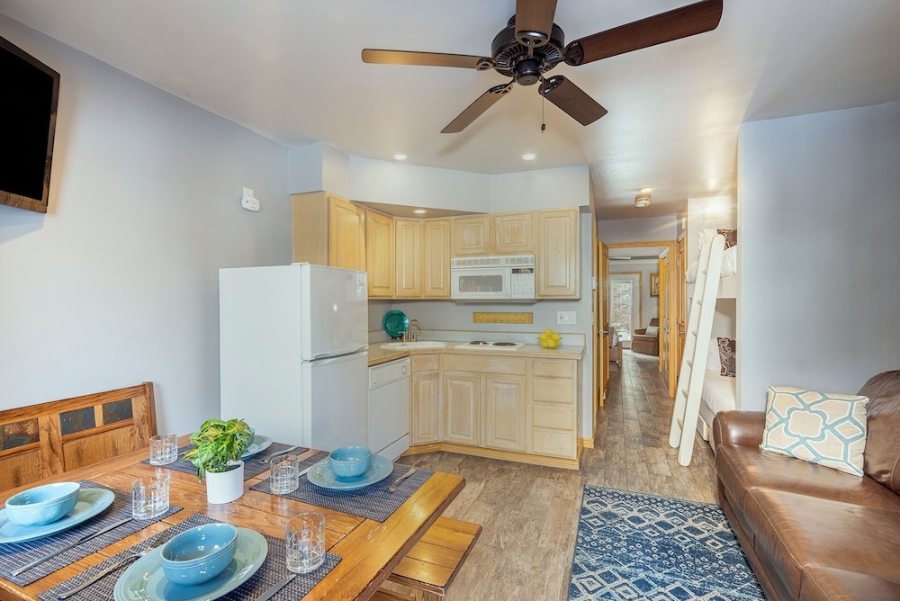 Telluride Ski Resort CO - Viking Lodge Condos
