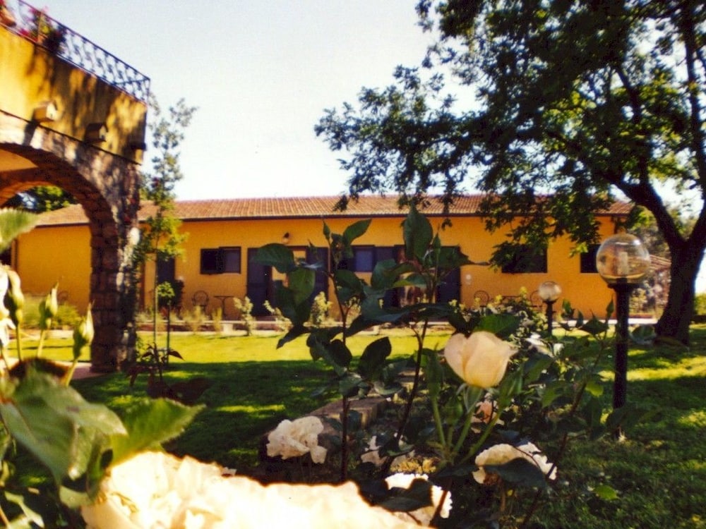 Photo 23