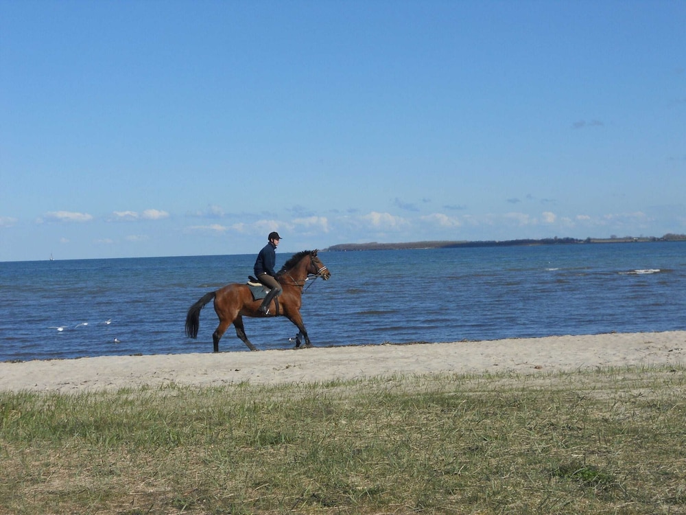 Photo 43