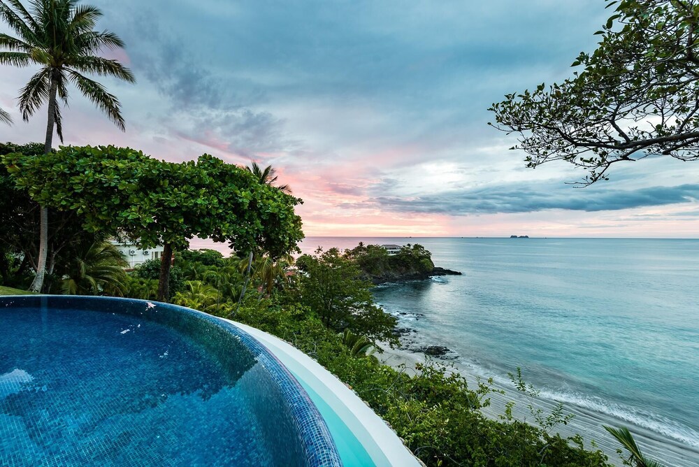 Flamingo Blu view 2