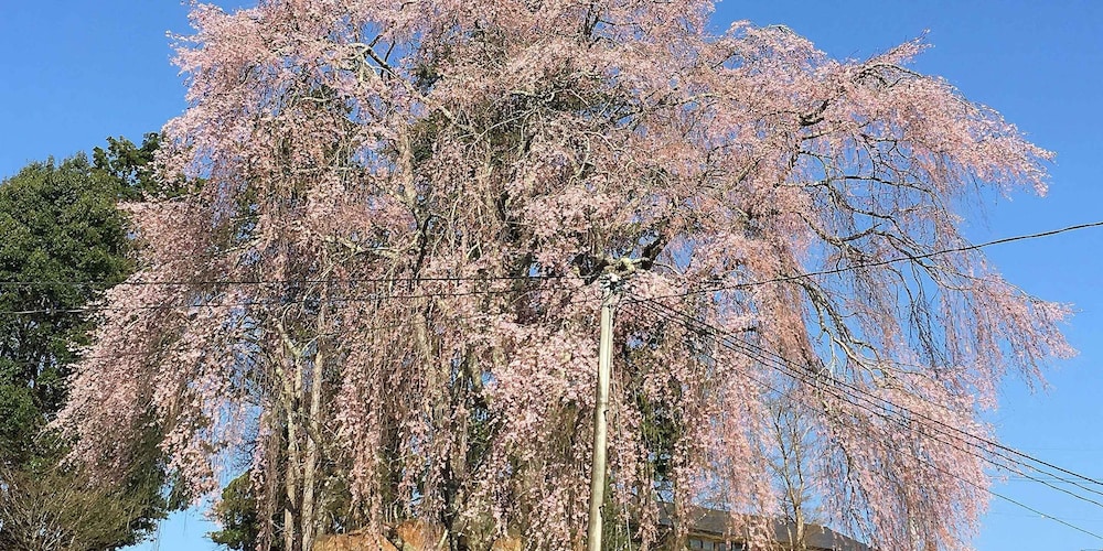 Tokuheian
