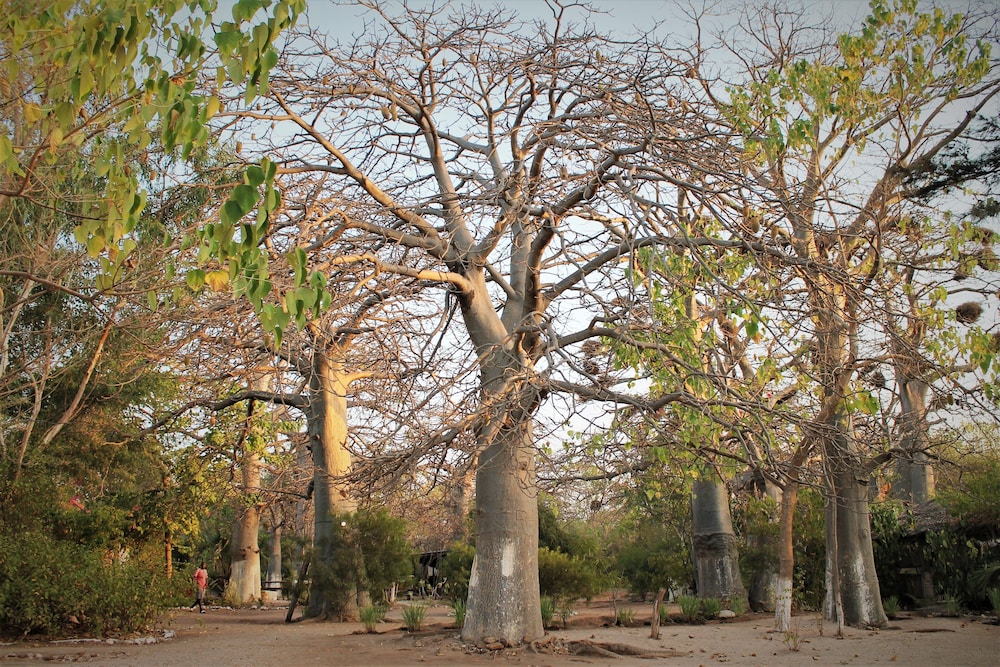 Photo 25