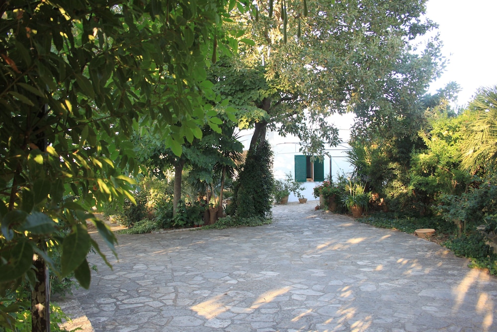 Kalinifta - Io Parto Io Arrivo