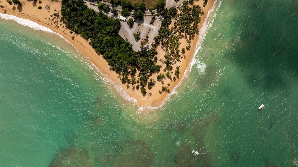 Armonía de Las Terrenas