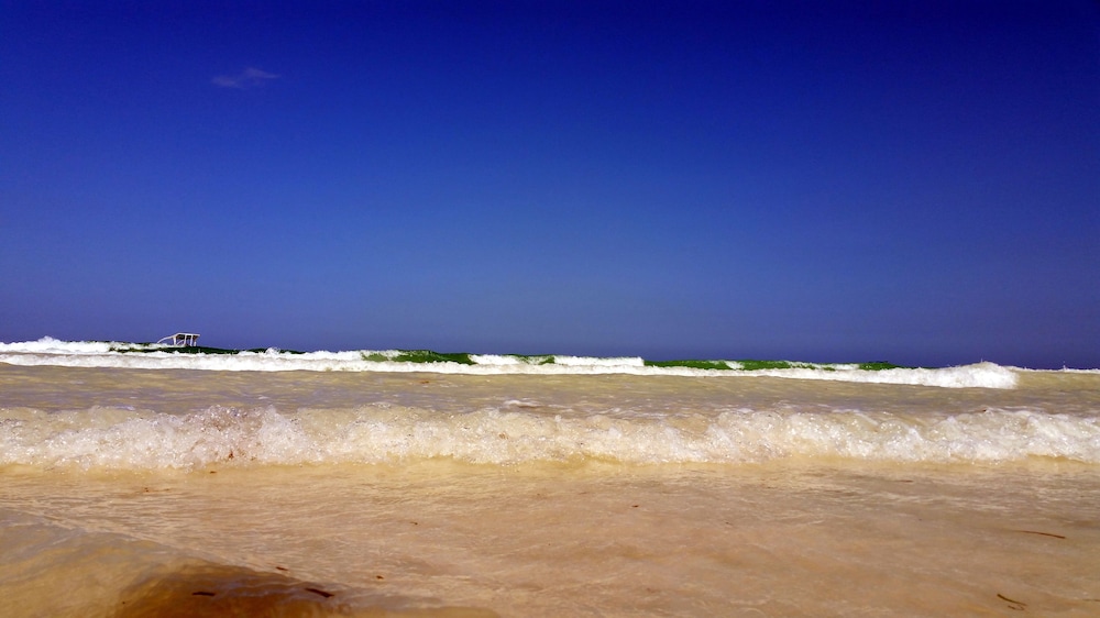 Jamboland-Diani