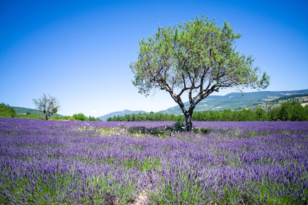 Le Claux du Puits by Ateya Vacances
