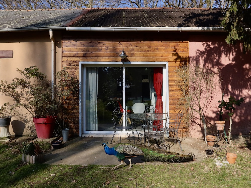 La Faisanderie en Saint-Florent-sur-Cher — balance & terrace
