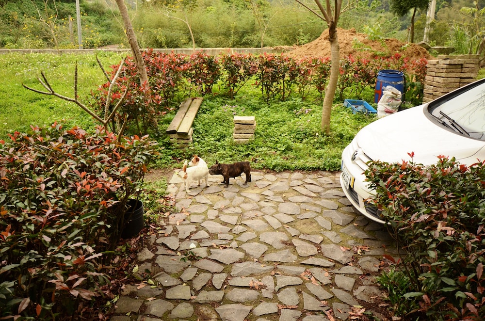 Hsinchu Emei Canadian WoodHouse Homestay