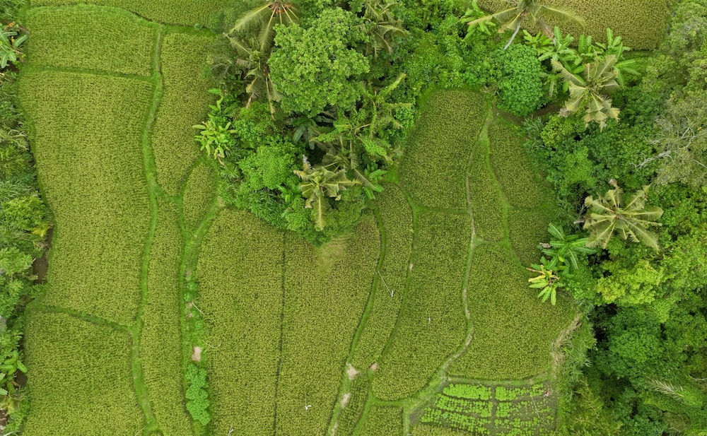 Garden Villa Ubud By BREIG