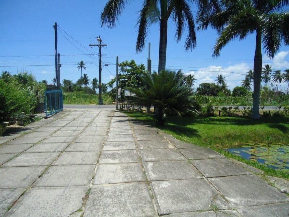 Photo 23