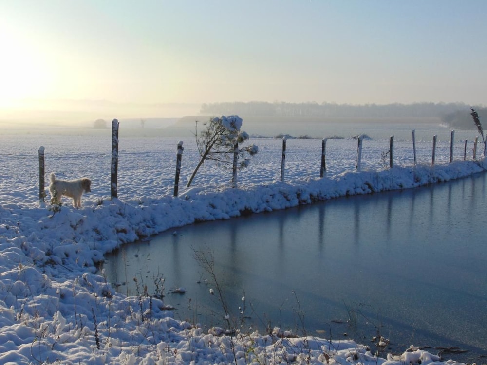 La Ferme aux Oies