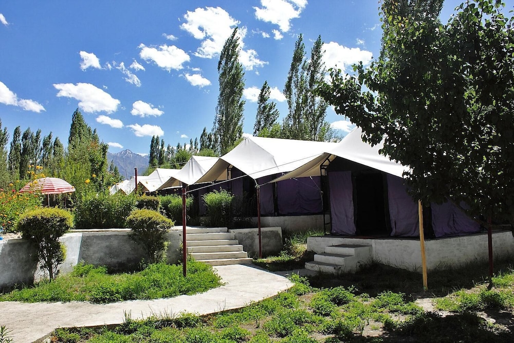 Tiger Camp