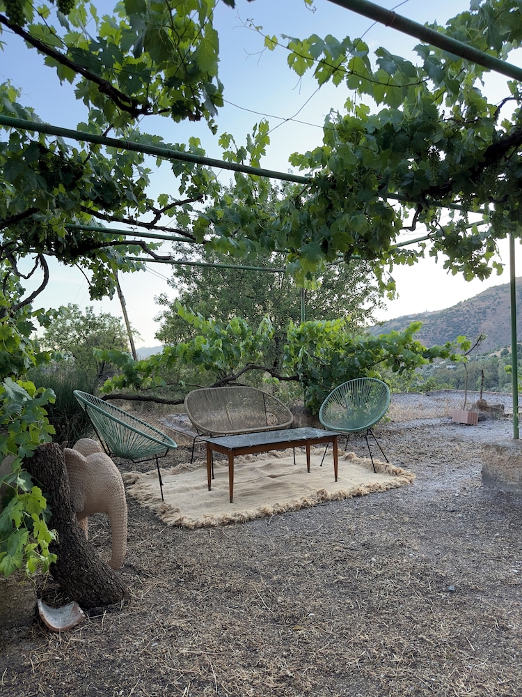 Finca Las Fuentezuelas photo 5