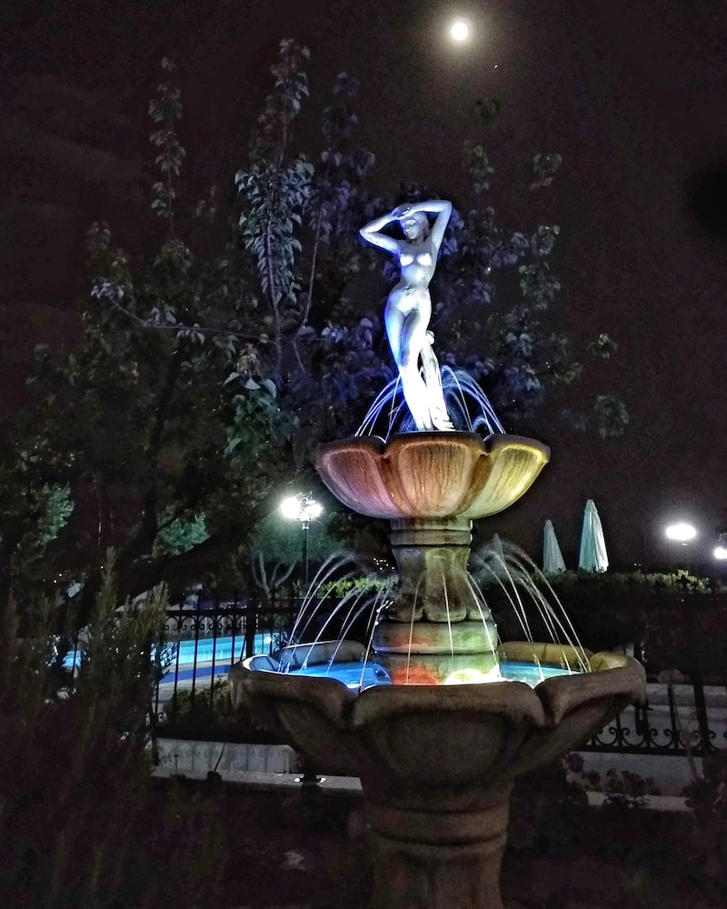 Photo 51