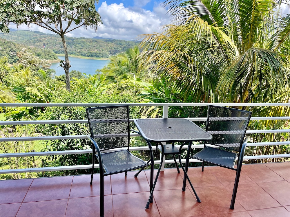 The Fruit Tree Garden Bromeliad Suite