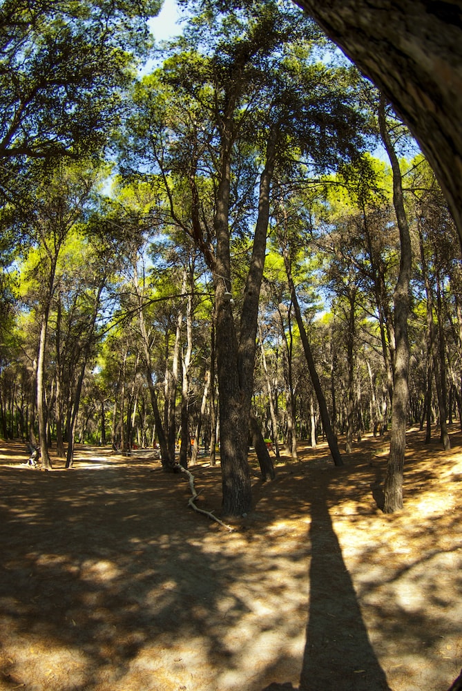 Club Nature Village