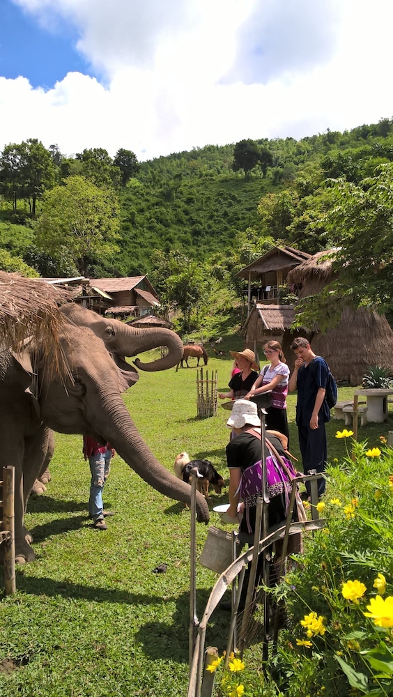 Homestay Chiang Rai