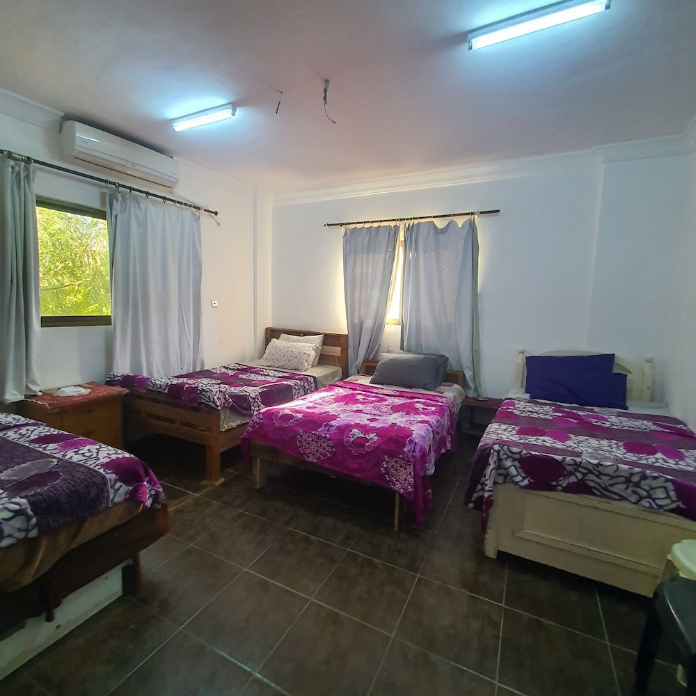 Beach Hostel view 5