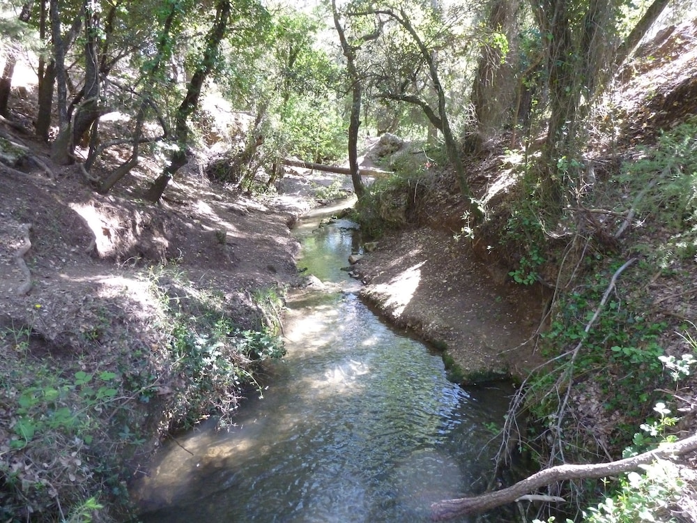 Photo 37