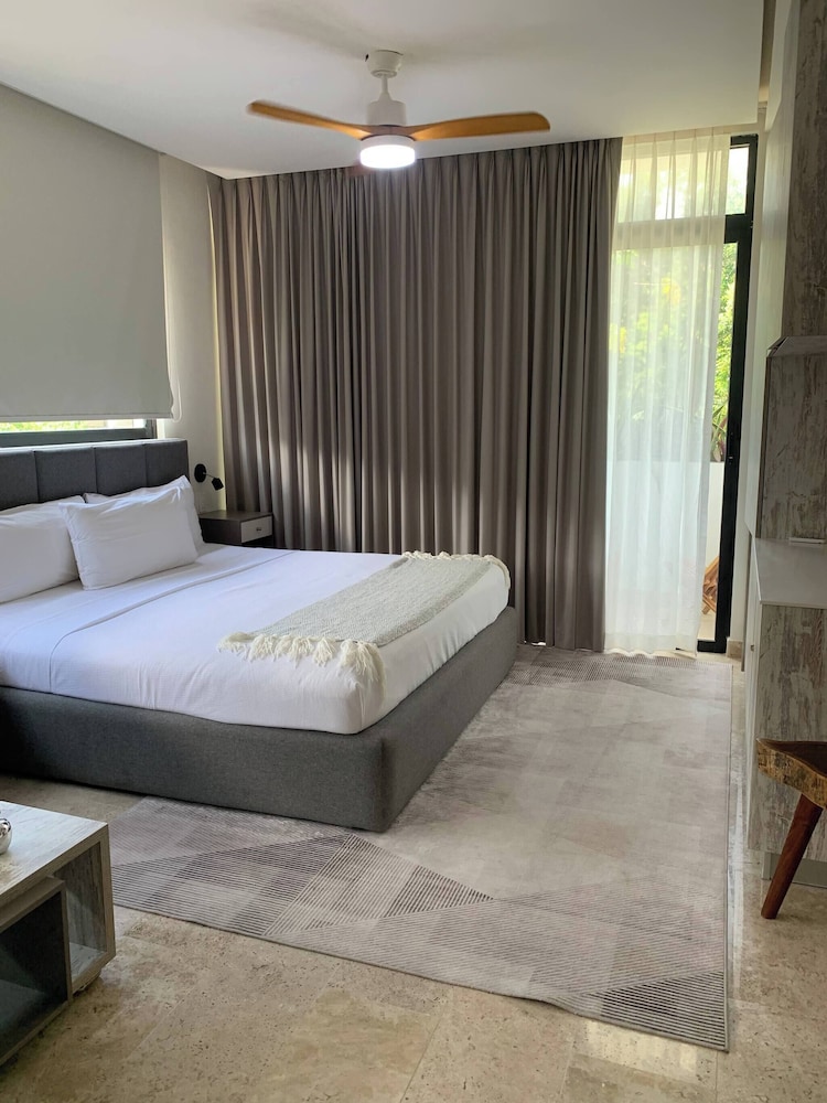 Perfect Studio Light and Nature in Aldea Zama