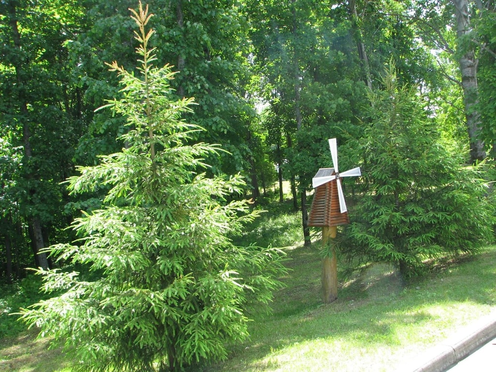 Photo 42