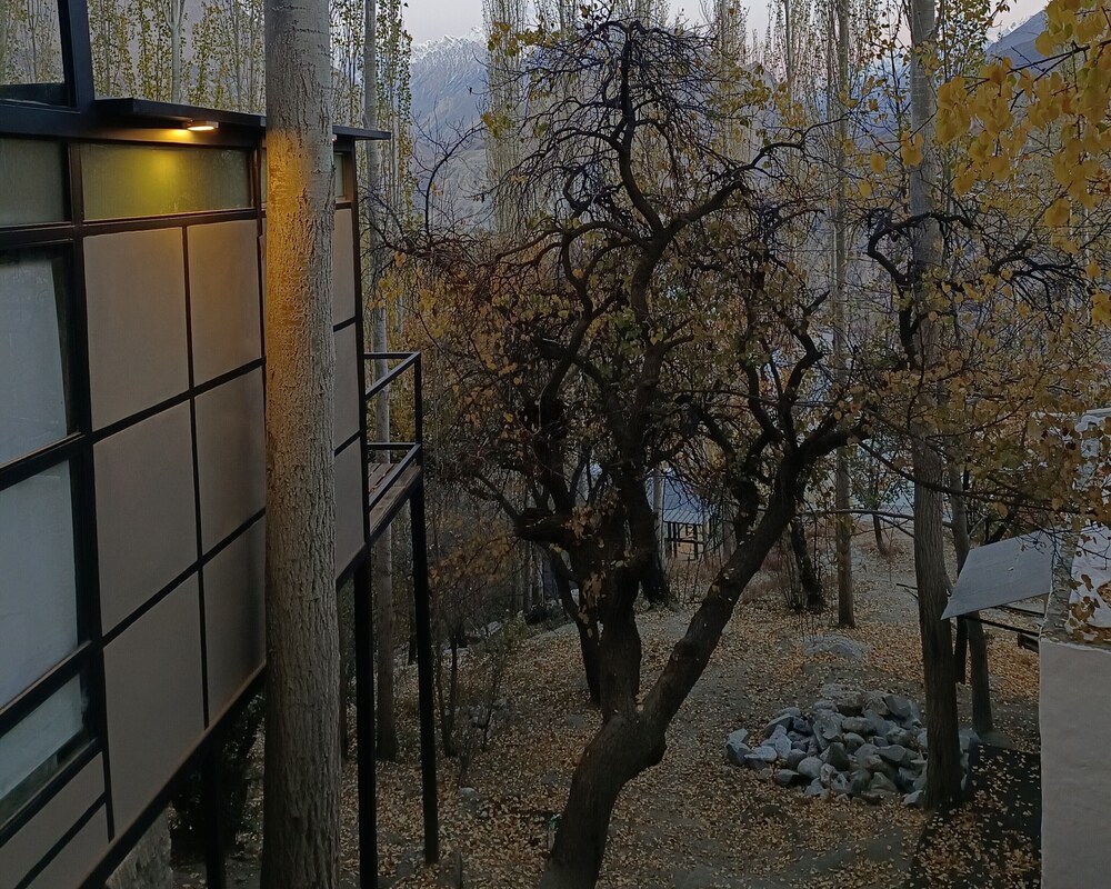 Photo 16
