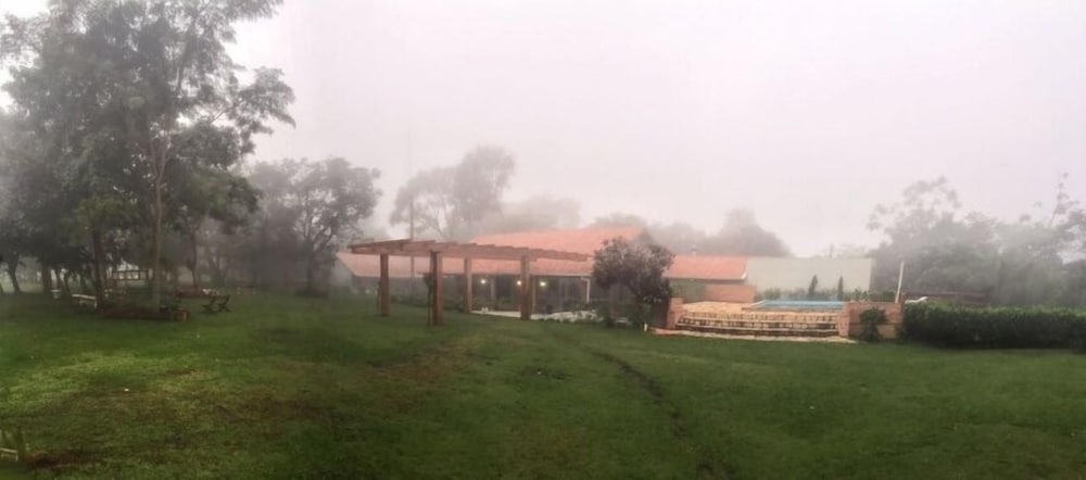 Bosque Da Neblina