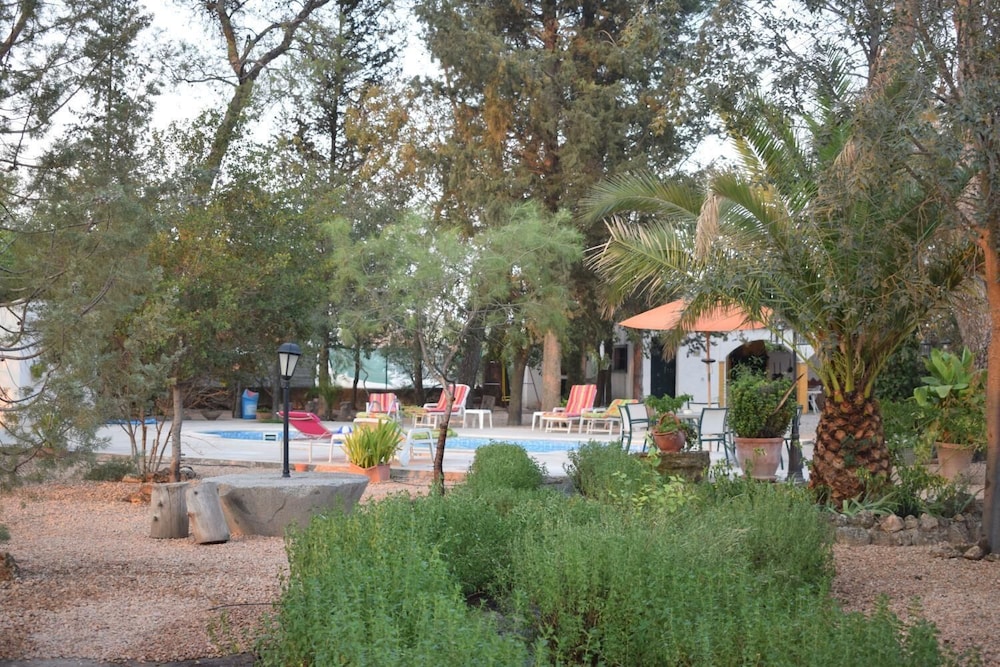 Photo 8