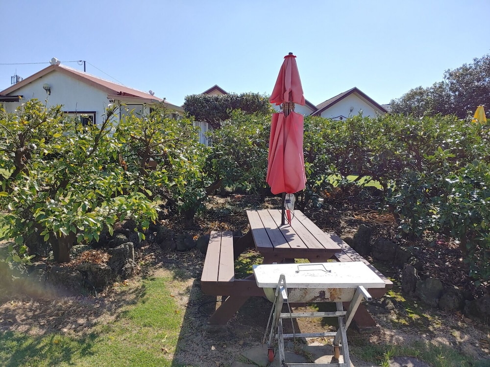 Gyul House