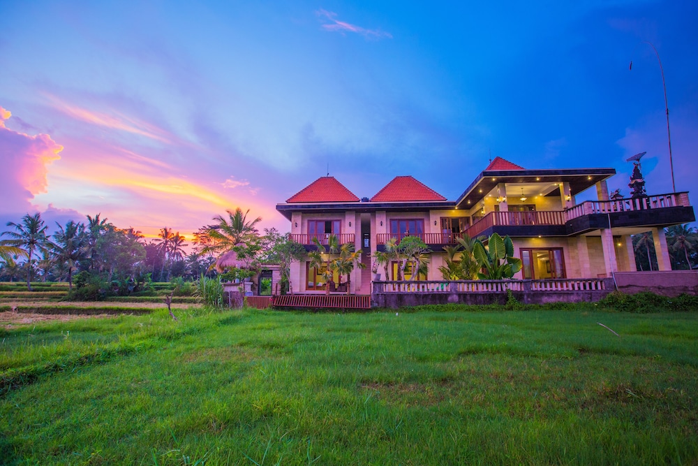 The Vamana view 3
