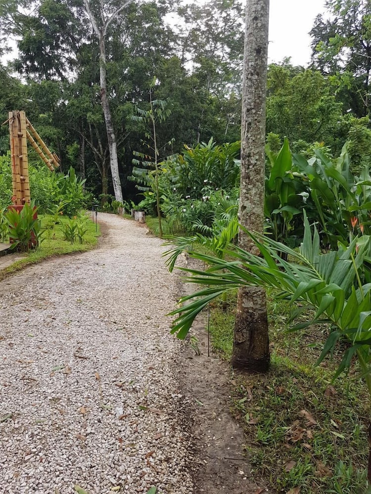 Palenque Vacations - Hotel Paraso Inn - Property Image 8