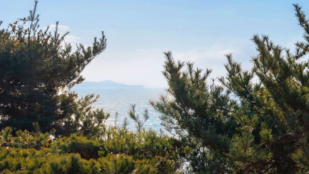 Ganghwa Raube Pet-friendly Pension
