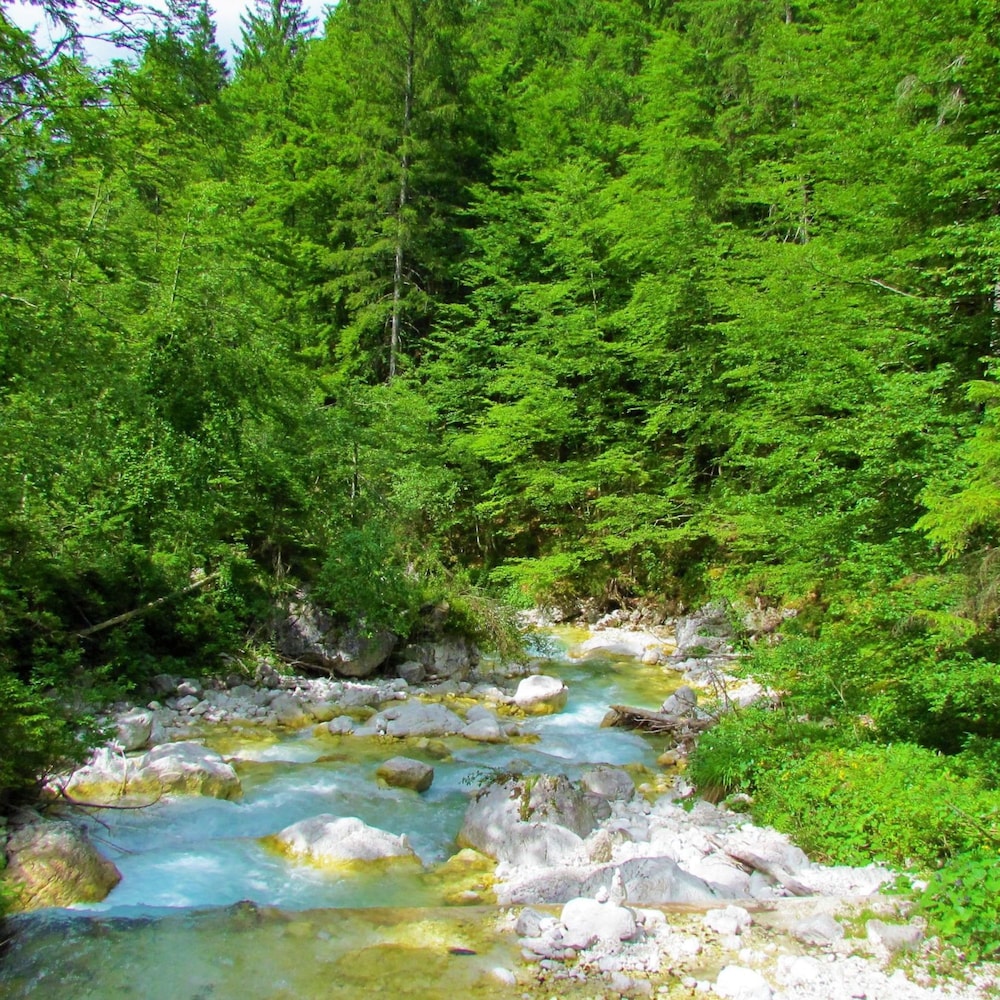 Photo 48