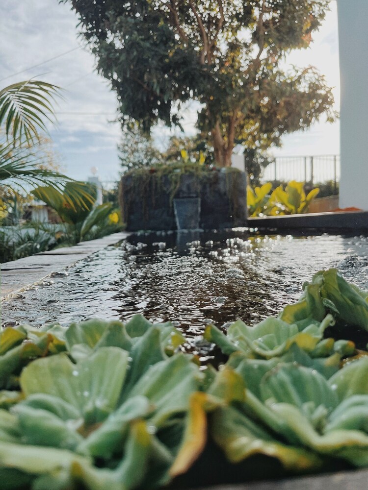 Xom House Bien Ho view 3