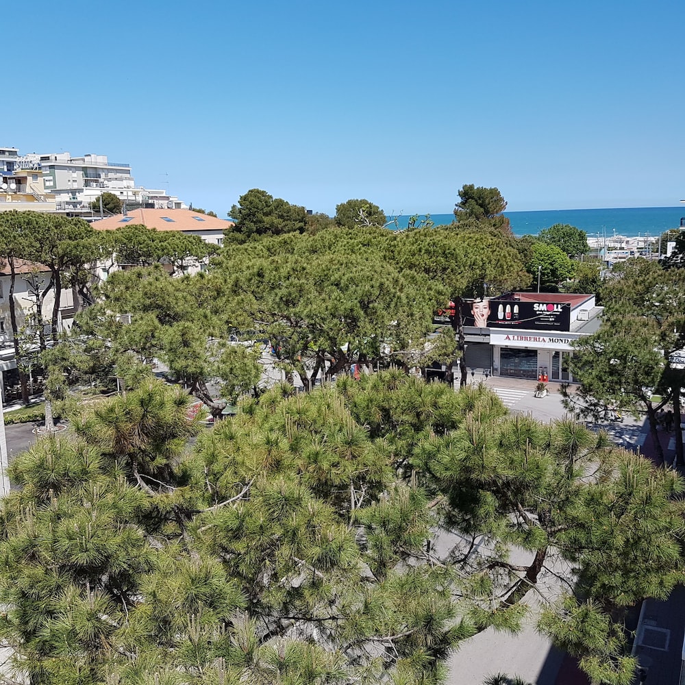 Hotel Ceccarini 9