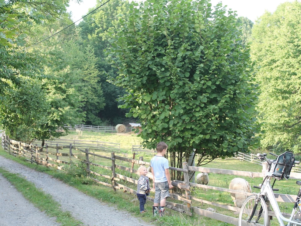 Photo 23