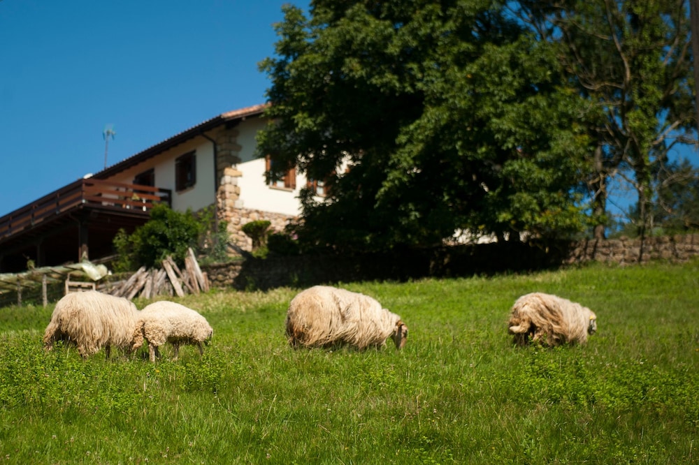 Casa Peluaga