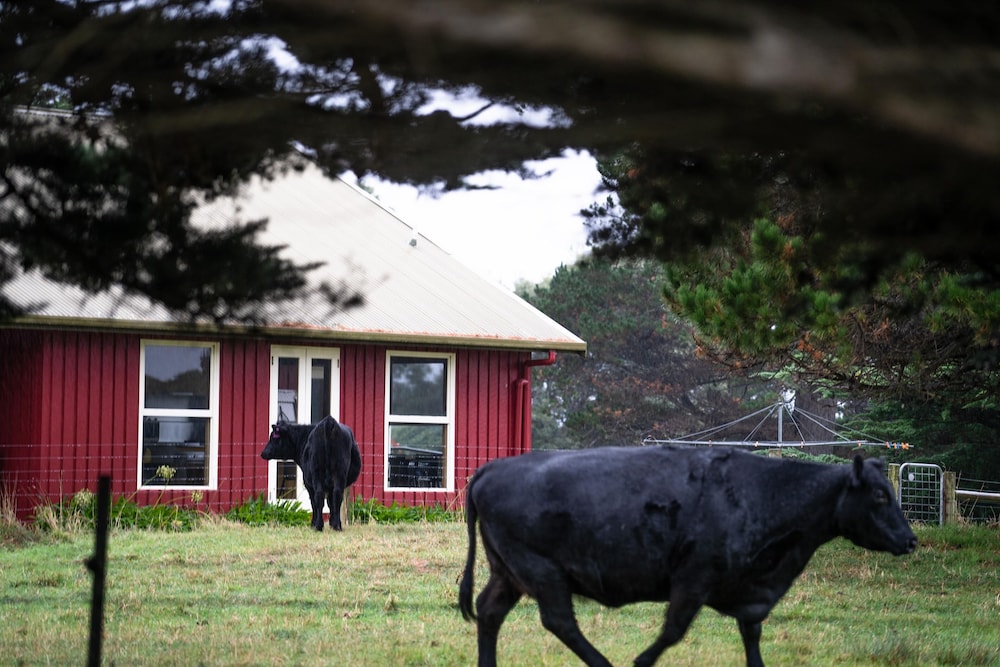 Icena Farm Accommodation
